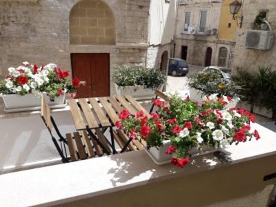 Casa Morola Monolocale Appartement Trani Buitenkant foto